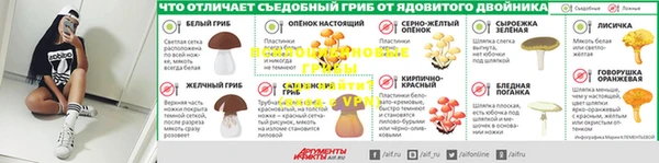индика Алзамай