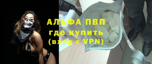 индика Алзамай