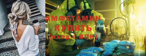 индика Алзамай