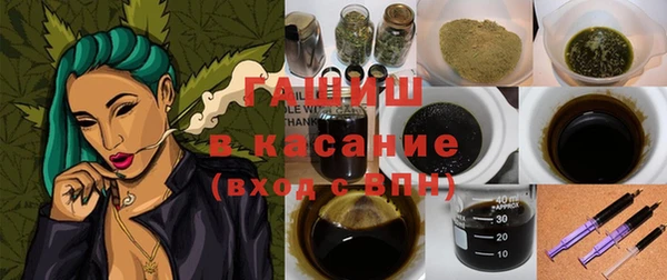 индика Алзамай